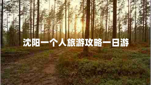 沈陽一個人旅游攻略一日游