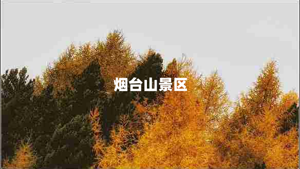 煙臺山景區(qū)