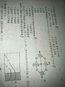 解決初中地理的方法有哪些