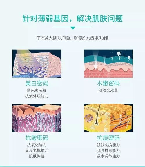 科學(xué)方法的層次不包括哪些內(nèi)容是什么