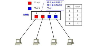 有哪些劃分vlan的方法