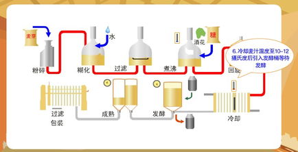 啤酒釀造中減少分子氮的方法有哪些