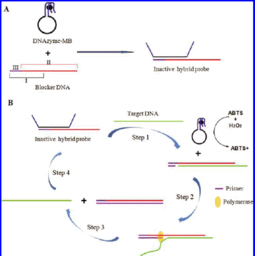 制備核酸探針的方法有哪些