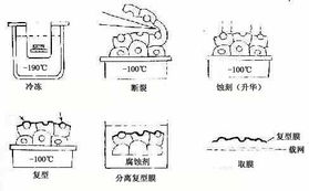 什么是組織研究方法有哪些