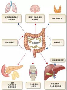 腸道菌群檢測方法有哪些