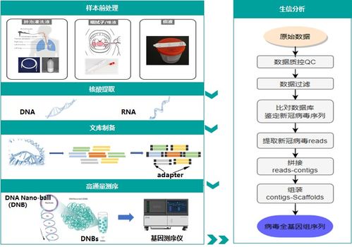 新冠檢測方法有哪些