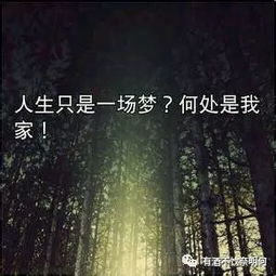 關(guān)于人生輪回的詩(shī)句