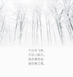 下雪的詩句古詩