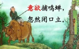 形容房屋溫馨有愛的古詩句