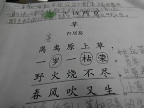 日字在古詩(shī)中意思為陽(yáng)光的詩(shī)句