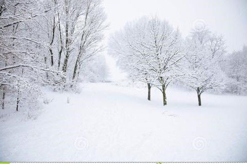 關(guān)于雪的兩句詩句并寫出出處和作者