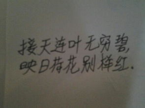 與家書有關的古詩句