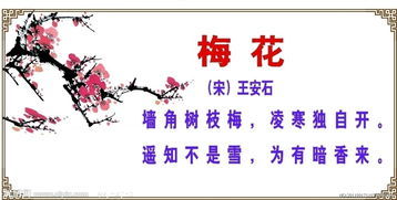 關(guān)于愛(ài)情的花的詩(shī)句古詩(shī)