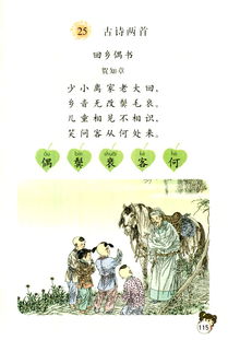 古詩(shī)回鄉(xiāng)偶書(shū)詩(shī)句是