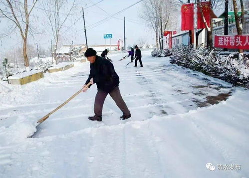 積雪,詩句,打掃