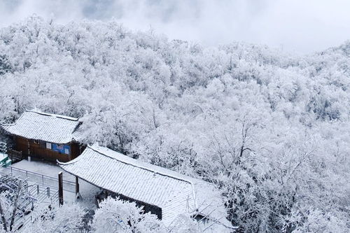 古詩詞,詩句,大雪