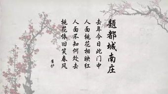 嚴(yán)善活的古詩句