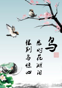 關(guān)于鳥古詩句子