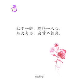 關(guān)于愛的溫暖的詩句