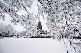 江南的雪的詩句古詩詞