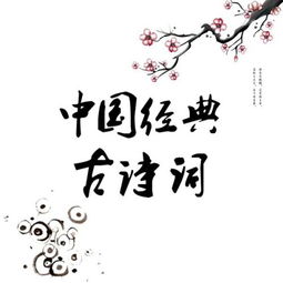 古詩對楊志的評價(jià)詩句