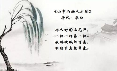 關(guān)于小酌詩(shī)句