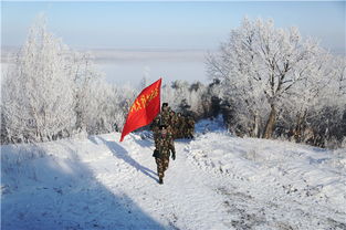 關于邊疆風雪的詩句