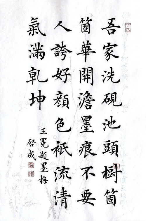 關(guān)于梅花的詩句楷書