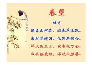 表達(dá)師生情深的古詩(shī),贊美夫妻情深的古詩(shī),描寫(xiě)師生情深的古詩(shī)