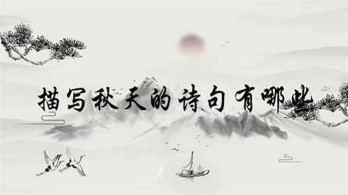 關(guān)于描寫(xiě)秋月的詩(shī)句古詩(shī)