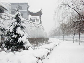 大雪的詩句古詩詞