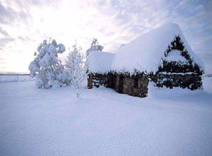 雪景,詩(shī)句,一起玩