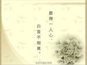 古詩(shī)句唯美五絕