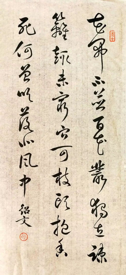 關(guān)于宋朝的菊花詩句