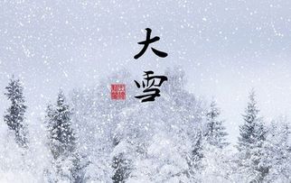 雪落長安古詩句