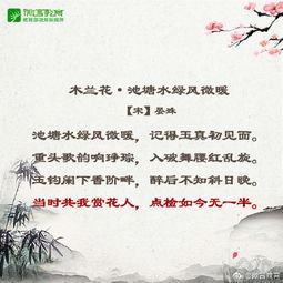 關(guān)于青春和感恩的詩句