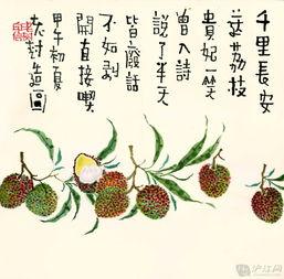 描寫(xiě)荔枝的詩(shī)句古詩(shī)