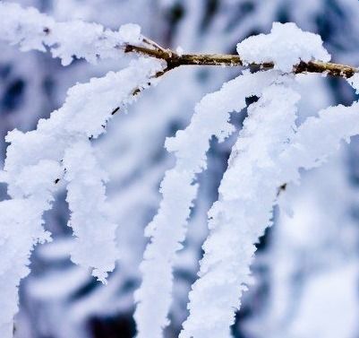 描寫雪的詩句古詩大