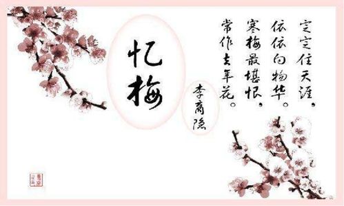 菊花的梅花的詩句古詩大全