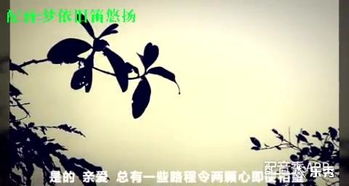 關于兄弟要別離的詩句