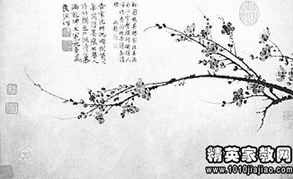 關(guān)于花贊美的詩句古詩