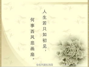 木槿花唯美古詩句,世外桃源的唯美古詩句,關(guān)于笛子唯美古詩句