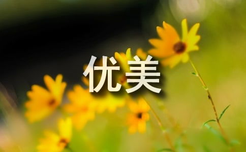 詩句,元旦,優(yōu)美