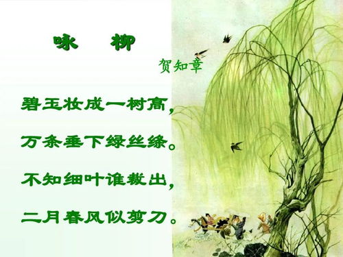 描寫冬至的優(yōu)美詩句古詩,描寫風景的優(yōu)美詩句古詩,描寫冬天的優(yōu)美詩句古詩