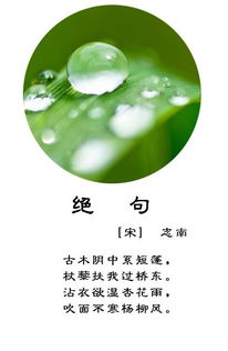 關(guān)于描寫春雨的詩句古詩,描寫春雨的詩句古詩名句,描寫春雨春雷的詩句古詩