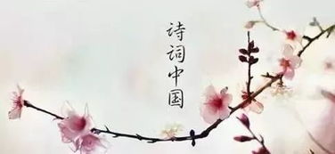 中有,古詩(shī),詩(shī)句