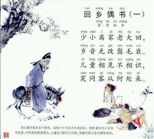 回鄉(xiāng)偶書古詩詩句意思