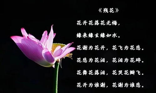 關于殘花的古詩句