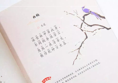 古詩詞中有紅字的詩句