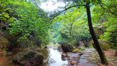 關(guān)于佳人和夜景的詩句